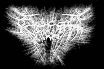 logo Buccal Defecation